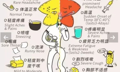 山德士最好三款药-山德士辛伐他汀片好吗专区_山德士瑞舒伐山德士是哪国的专区_山德士辛伐他汀片图片网
