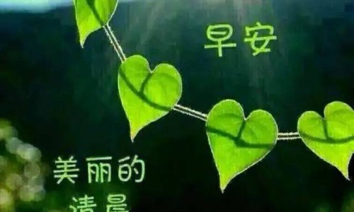 山德士瑞舒伐他汀钙片是进口的吗-山德士辛伐他汀片好吗专区_山德士瑞舒伐山德士是哪国的专区_山德士辛伐他汀片图片网