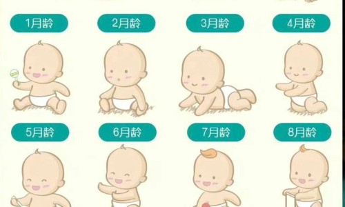 山德士是进口药品吗-山德士辛伐他汀片好吗专区_山德士瑞舒伐山德士是哪国的专区_山德士辛伐他汀片图片网